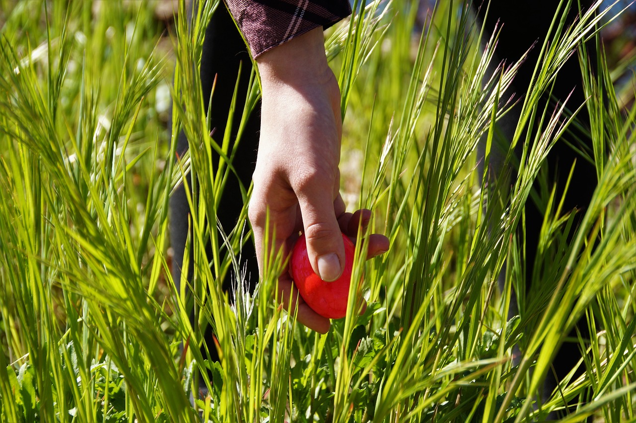 How To Use Habit-Tracking Apps for Better Time Management